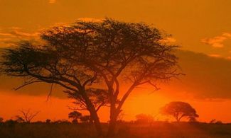 Zimbabwe, l'Africa dal fascino selvaggio