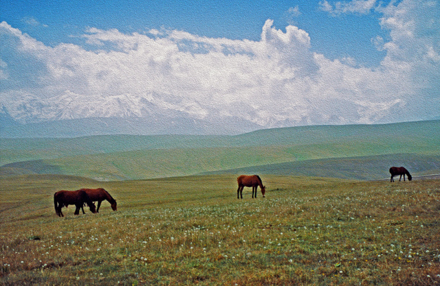 Mongolia