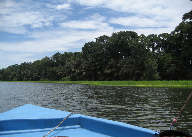 Tortuguero