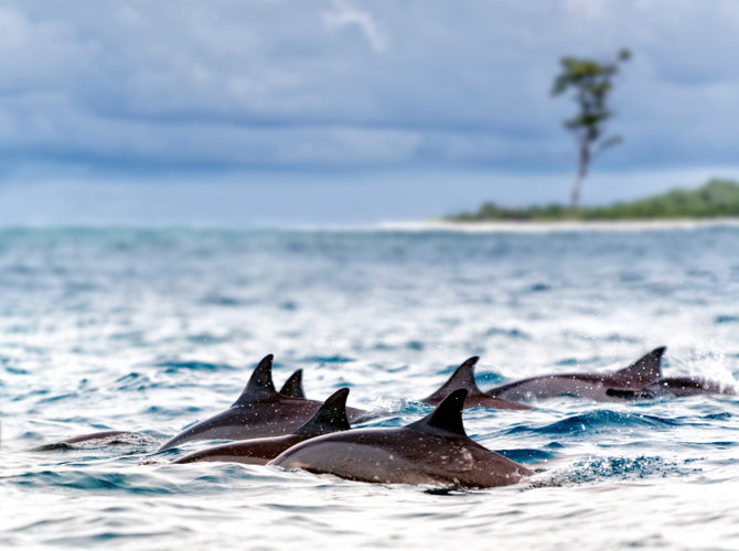 Seychelles