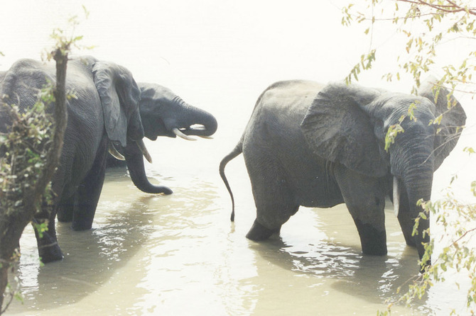 Kakum National park