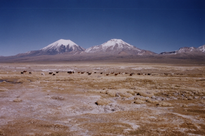 Bolivia