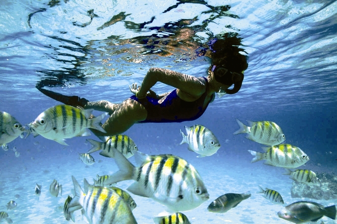 Snorkeling a Barbados