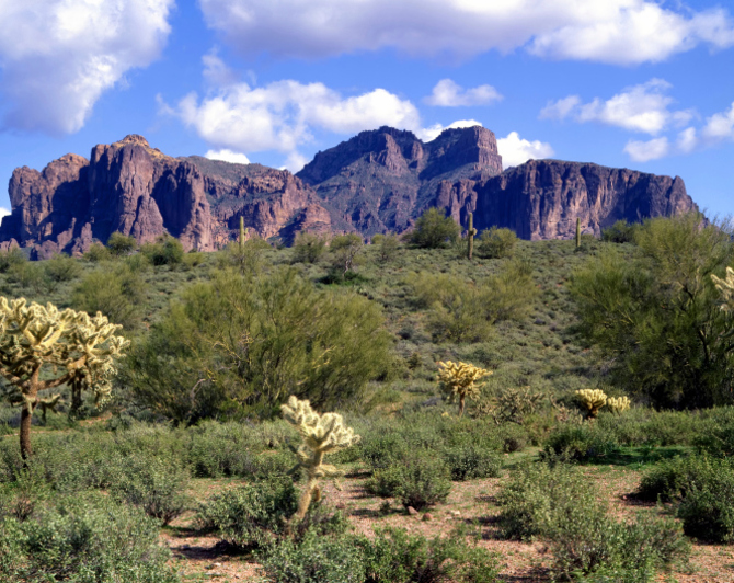 Deserto di Sonora