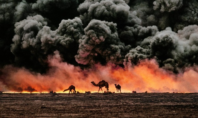 Steve McCurry - Cammelli e giacimenti di petrolio,Kuwait, 1991