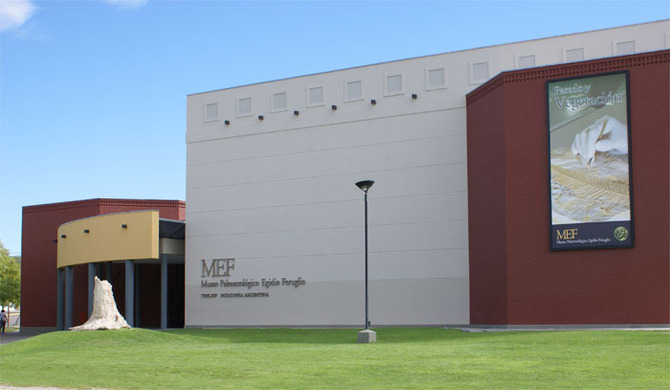 Museo Paleontologico