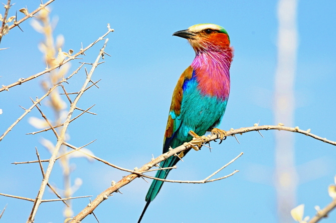 Kruger National Park