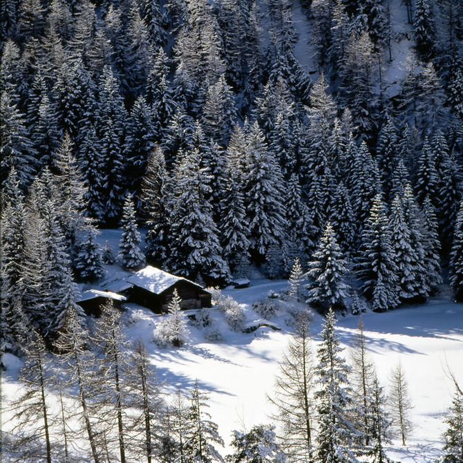 Valle d'Aosta - Cogne