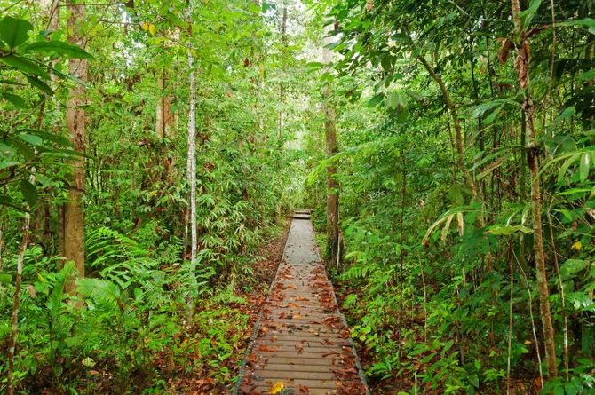 Taman Negara National Park