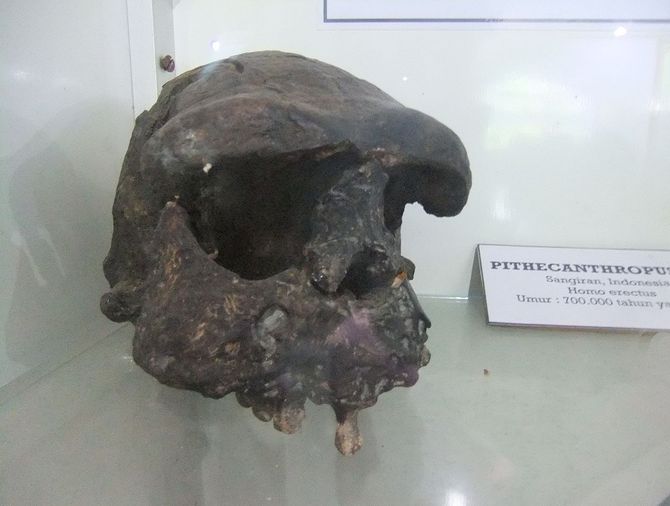 Sangiran Early Man Site