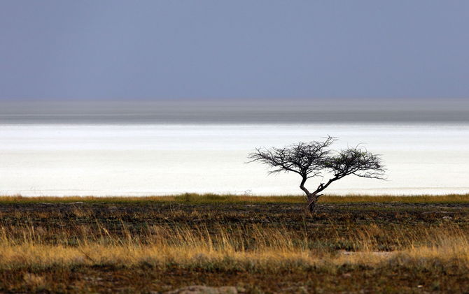 Etosha