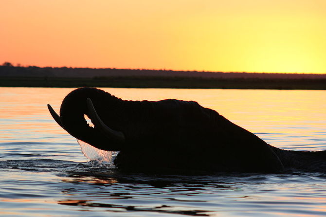 Chobe National Park