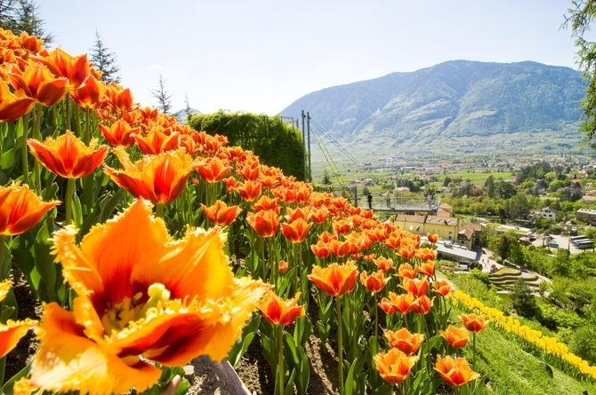 Giardini di Sissi