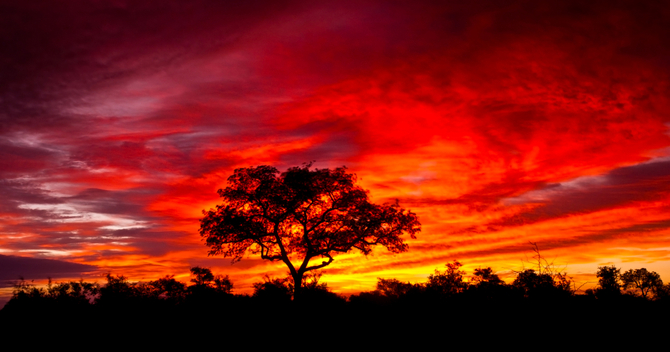 Kruger National Park