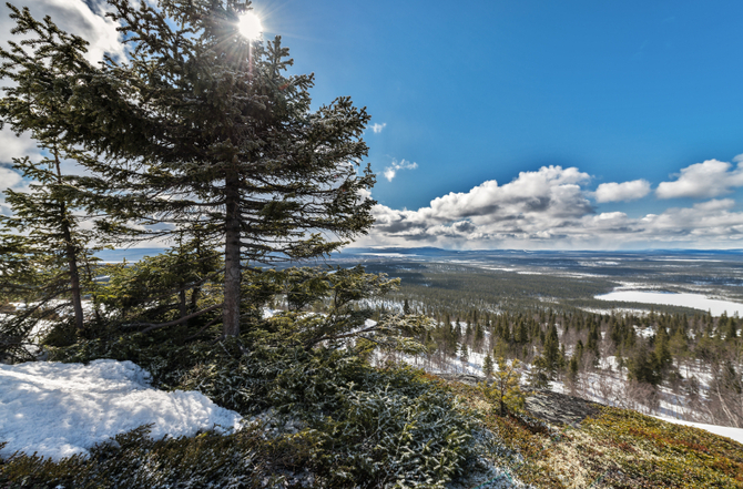 Murmansk