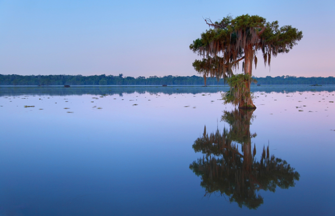 Gli scenari naturali della Louisiana