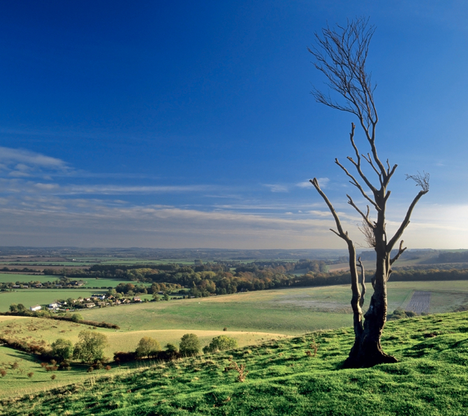 Hertfordshire