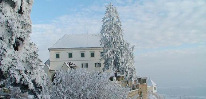 Schloss Kapfenstein