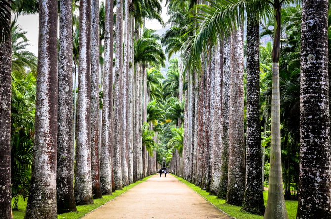 Giardino Botanico