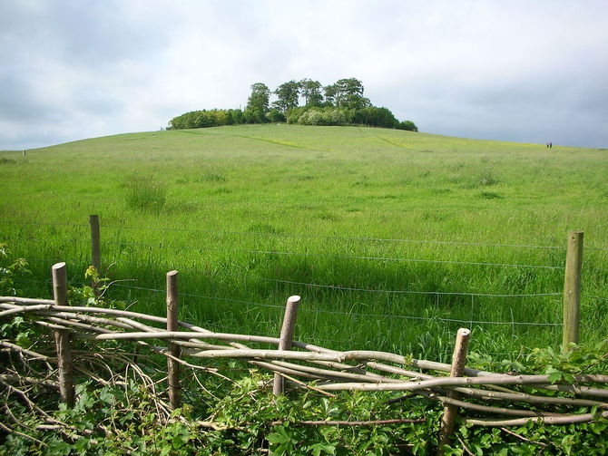 Wittenham Clumps Hill