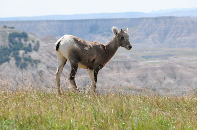 Badlands National Park