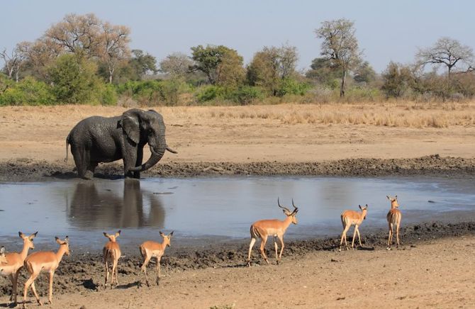 Kruger National Park