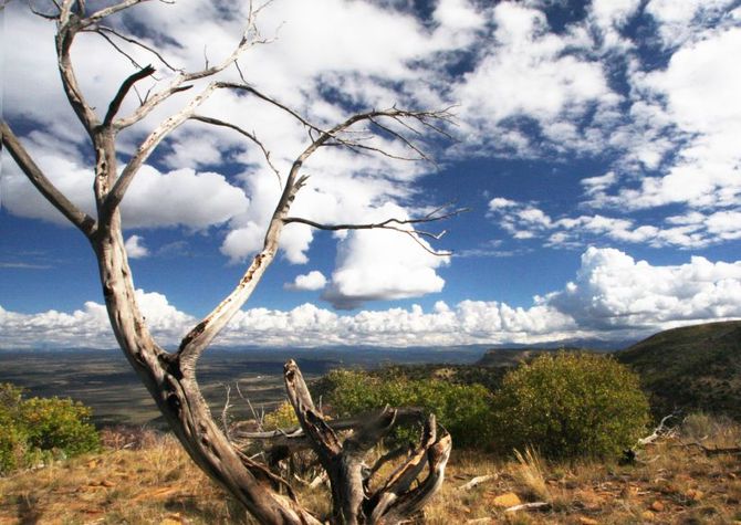 Mesa Verde National Park