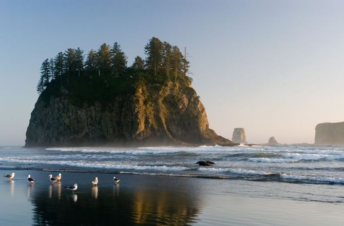 Olympic National Park