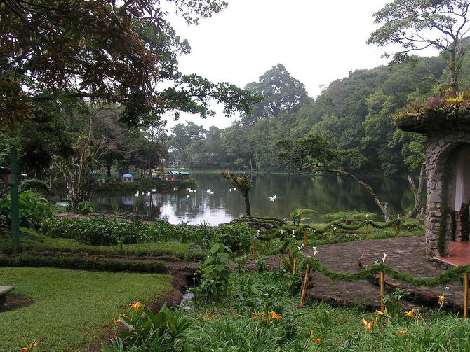 Selva Negra