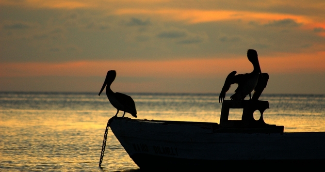 Hadicurari Beach