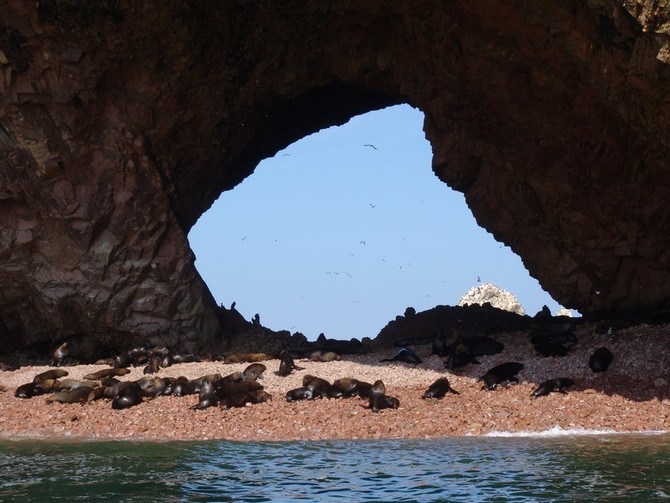 Isole Ballestas