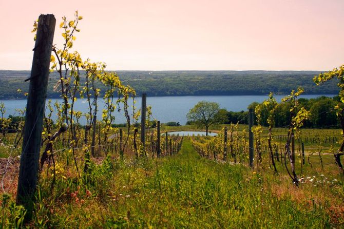 Finger Lakes