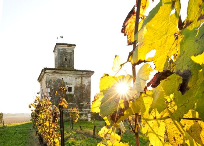 Franciacorta