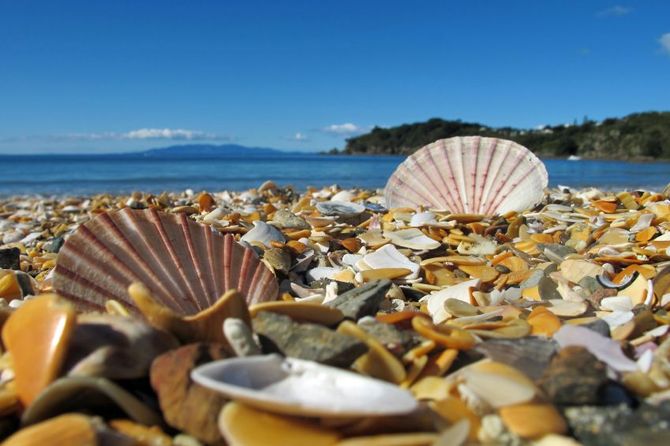5 Waiheke Island
