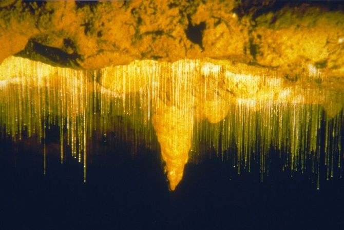 Le grotte di Waitomo