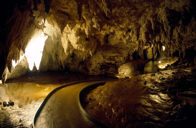 Le grotte di Waitomo