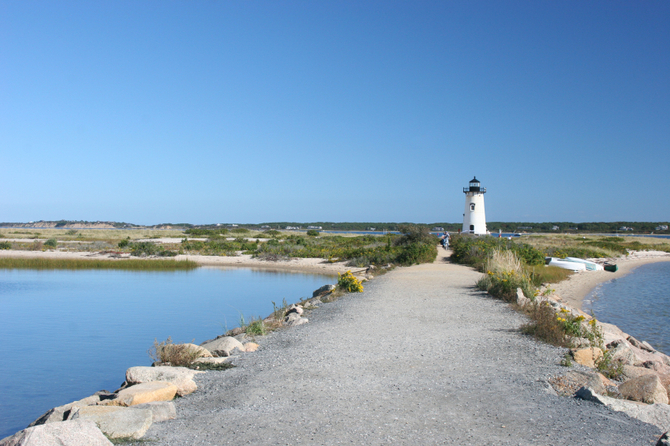 Martha's Vineyard - Lo squalo