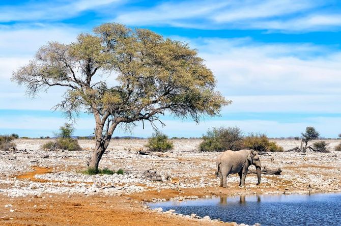 14 Namibia