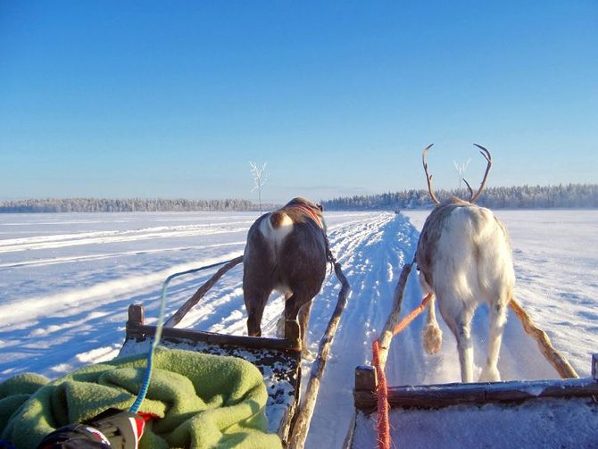 Svezia e Finlandia