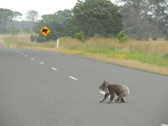 Australia