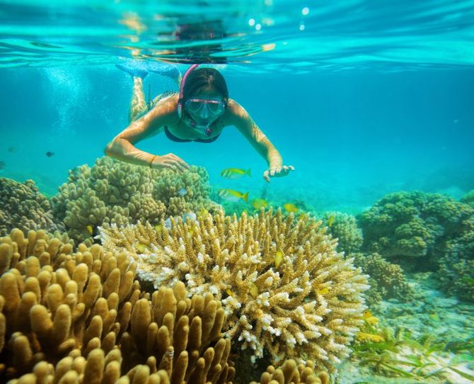 Snorkeling