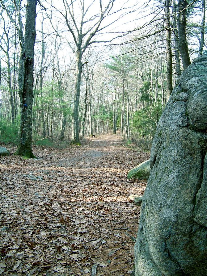 F. Gilbert Hills State Forest