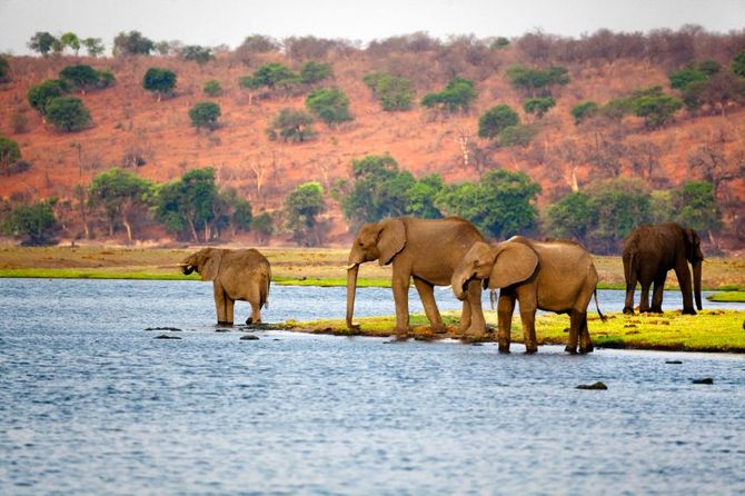 Destinazione Botswana