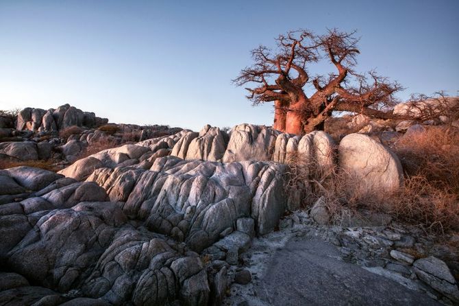 Makgadikgadi