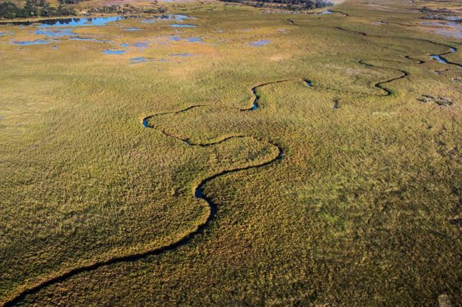 Okavango