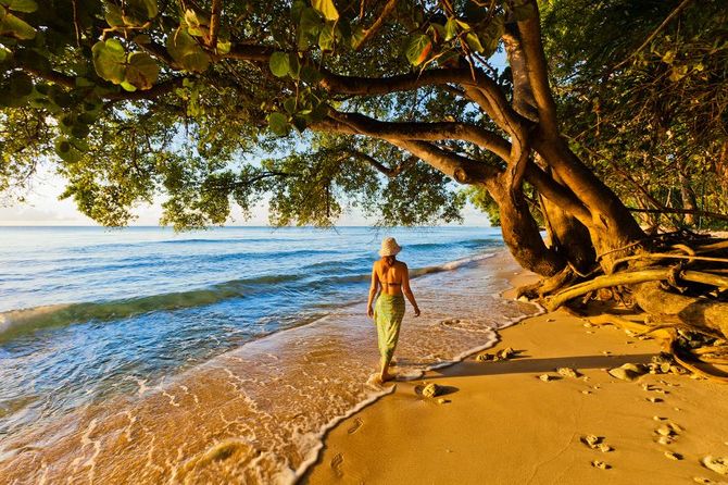 Barbados
