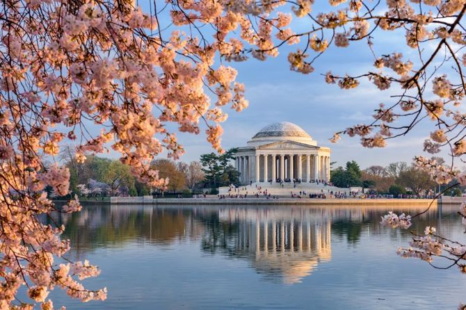 10 Washington DC
