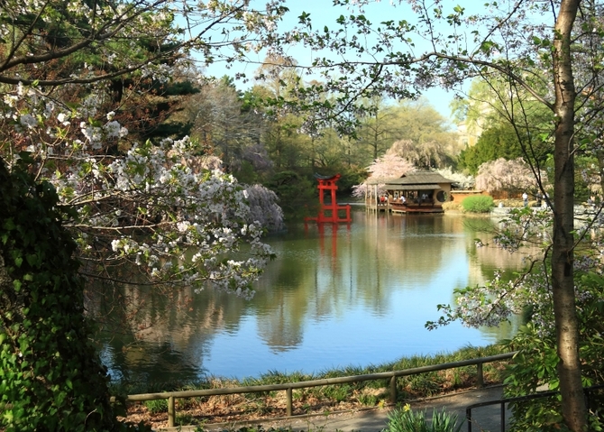 Giardino Botanico