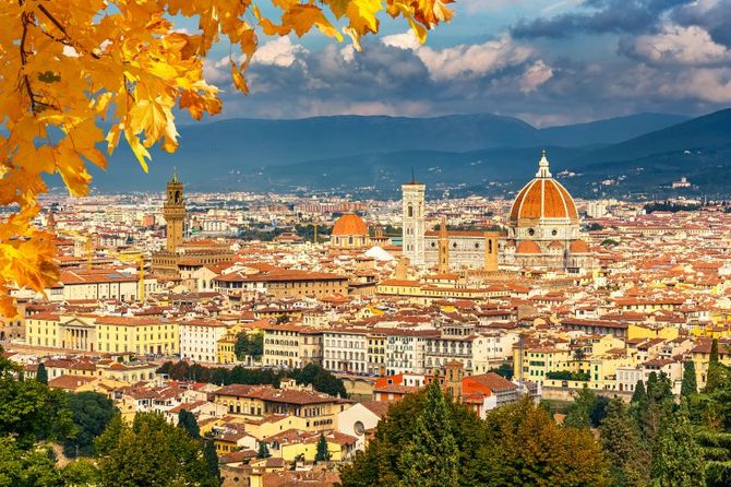 5 Firenze