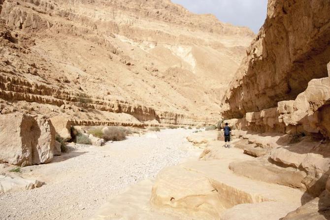 Deserto di Giudea